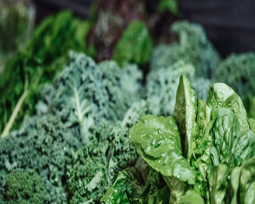 Fresh green leafy vegetables including kale and spinach